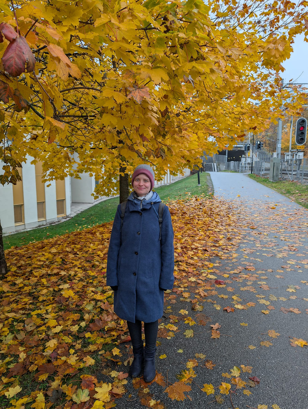 Eine Reise ins "Venedig des Nordens" - die schwedische Hauptstadt Stockholm. Auch im Herbst ist Stockholm eine Reise wert.