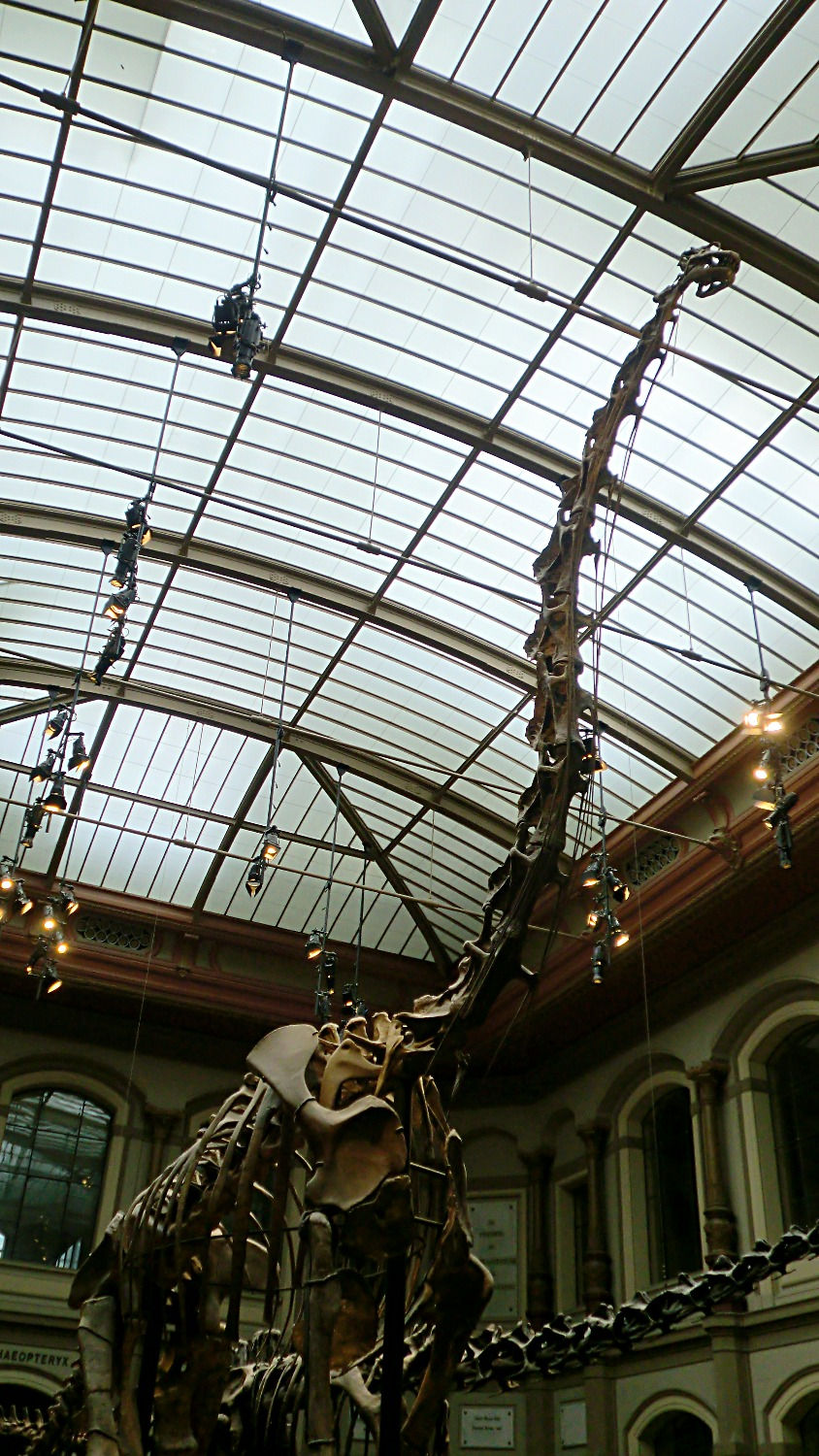 Berlin - Naturkundemuseum