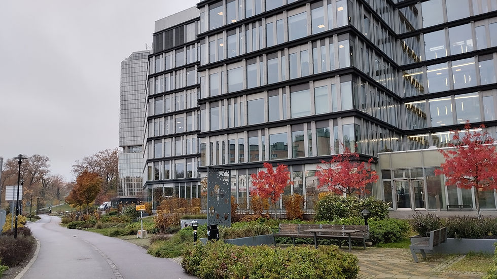 Eine Reise ins "Venedig des Nordens" - die schwedische Hauptstadt Stockholm. Solna