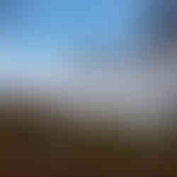 Eine Reise ins "Venedig des Nordens" - die schwedische Hauptstadt Stockholm.Hagapark