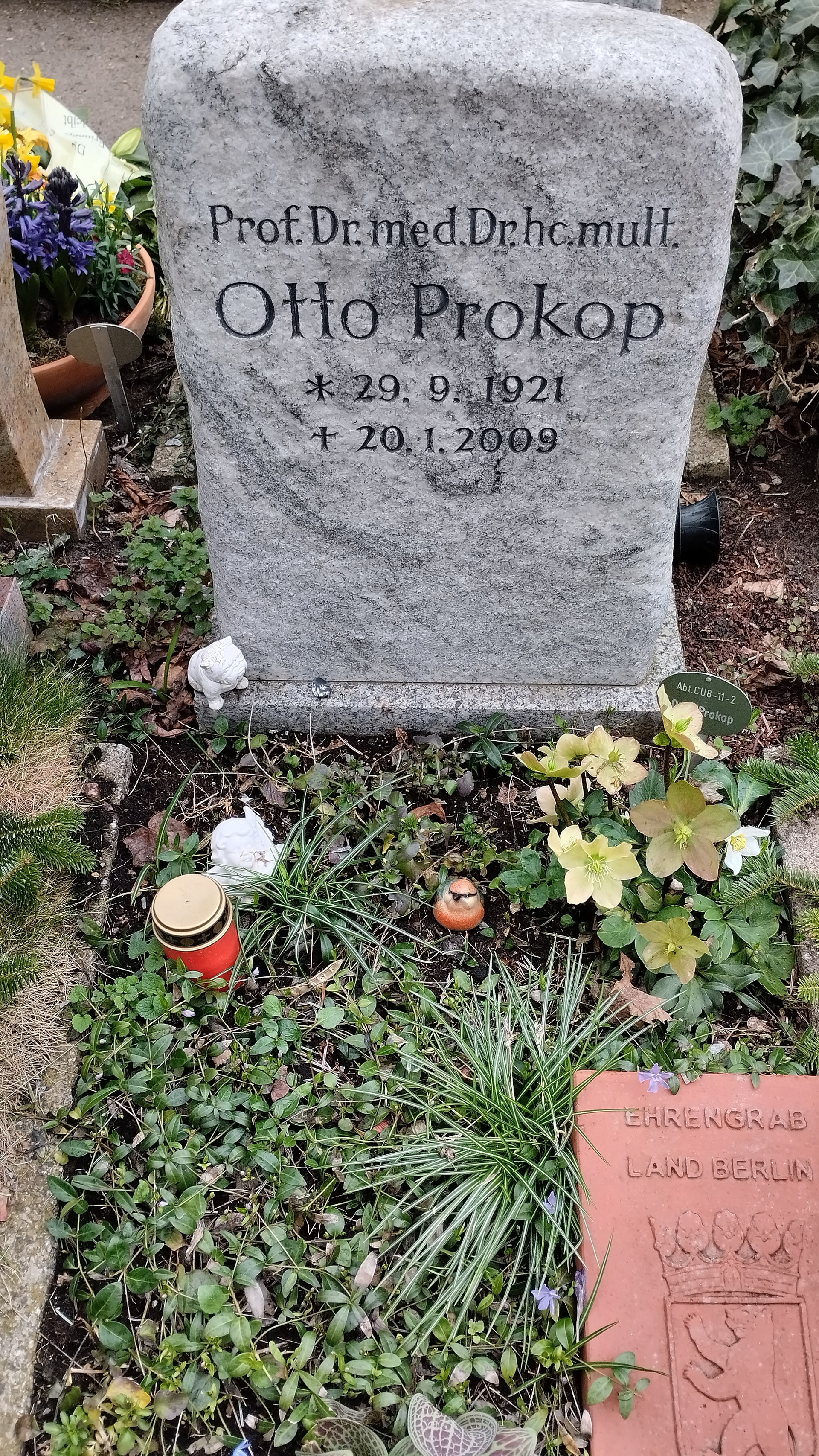 BERLIN. Dorotheenstädtischer Friedhof - Prof. Dr. Otto Prokop