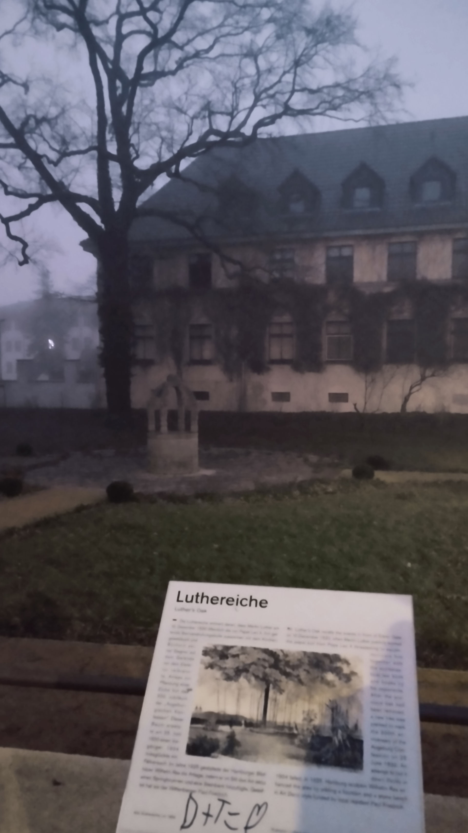 Auf Luther's Spuren in Mitteldeutschland. Luthereiche