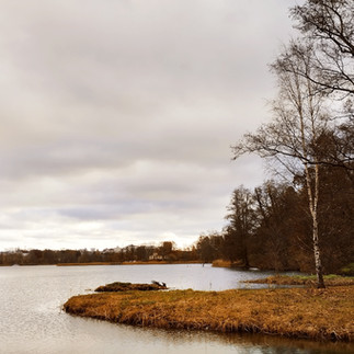 Eine Reise ins "Venedig des Nordens" - die schwedische Hauptstadt Stockholm.Hagapark