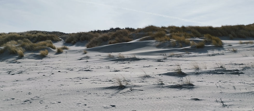 12 von 12 im März. Bild 3: Am Strand