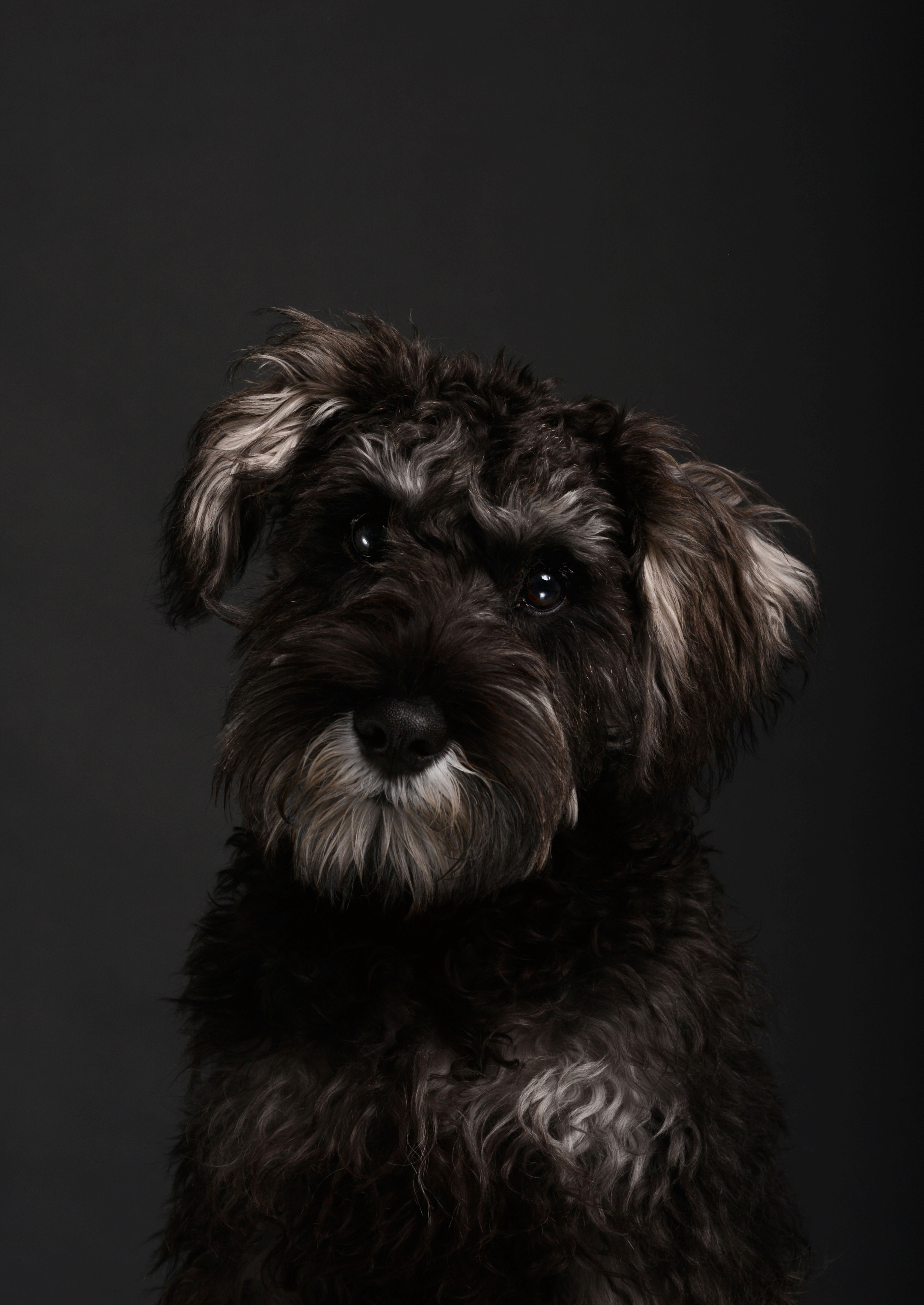 Ralph3.gif