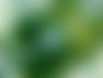 Sustainable Aviation Fuels: Warten auf die Starterlaubnis