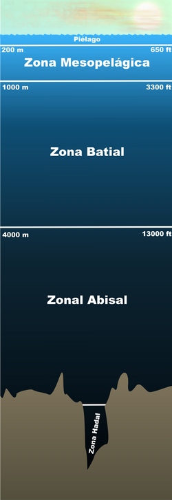 Pelagiczone_es.png