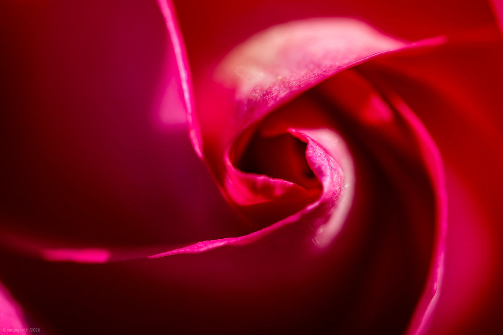 15 MAI 2026