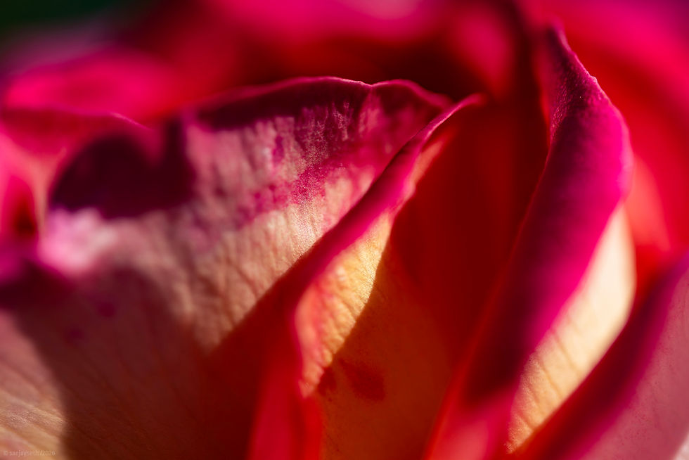 15 MAI 2026