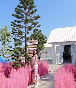 caffe detente thailande