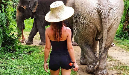 elephants sanctuary phuket excursion6