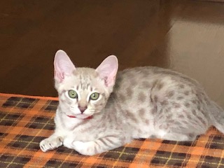 マル 2019 2/19