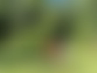 Free trees for communities
