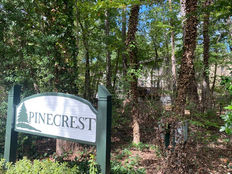 Pinecrest English Ivy killed.jpg