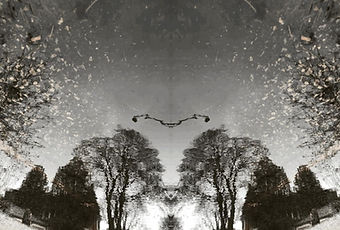 puddle mirror.jpg
