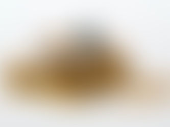 The Accidental Investor