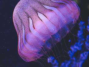 ツインレイの出会いは恋の終わりではなく魂の始まり