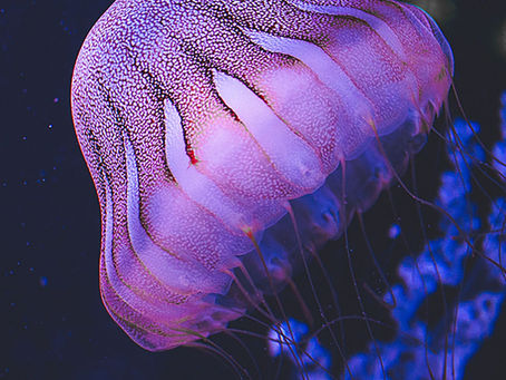 ツインレイの出会いは恋の終わりではなく魂の始まり