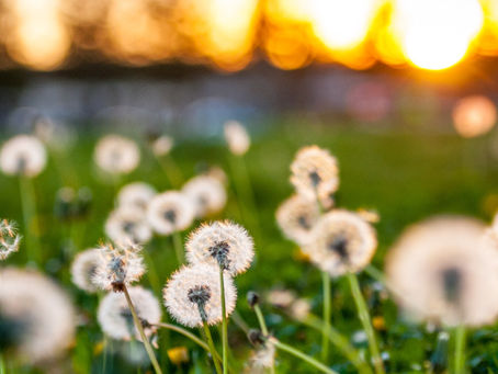 どうせ自分なんて…と思った時に