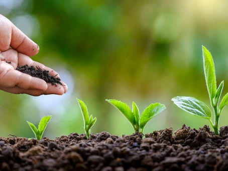 Como lidar com o risco da falta de adubo