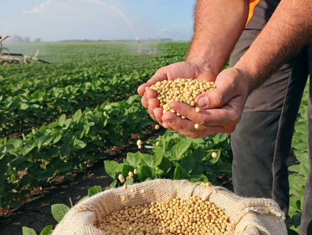 Fatores que influenciam no preço da soja