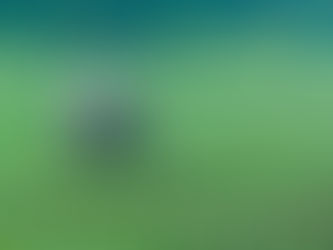 A contabilidade de ativos biológicos