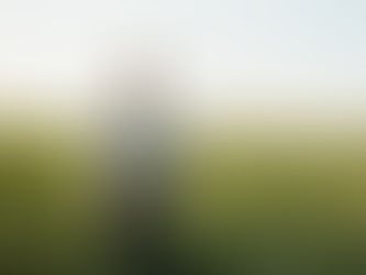 Os Benefícios e importância da Gestão do Agronegócio