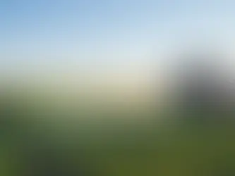 O comportamento do consumidor em relação ao Agro