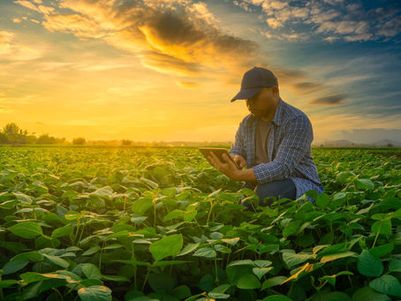 Tudo o que você precisa saber sobre Gestão do Agronegócio