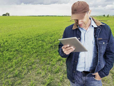 Agronegócio foi fundamental para segurar o PIB em meio a pandemia