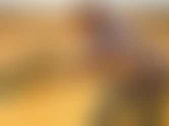 Produção agropecuária brasileira quadruplicou nos últimos 40 anos