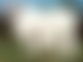 Manejo Reprodutivo de Bovinos