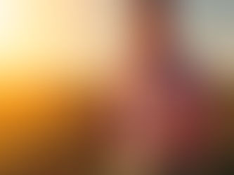 O que faz quem cursa Gestão do Agronegócio?