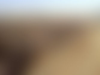 Pecuária Intensiva: saiba mais sobre o assunto