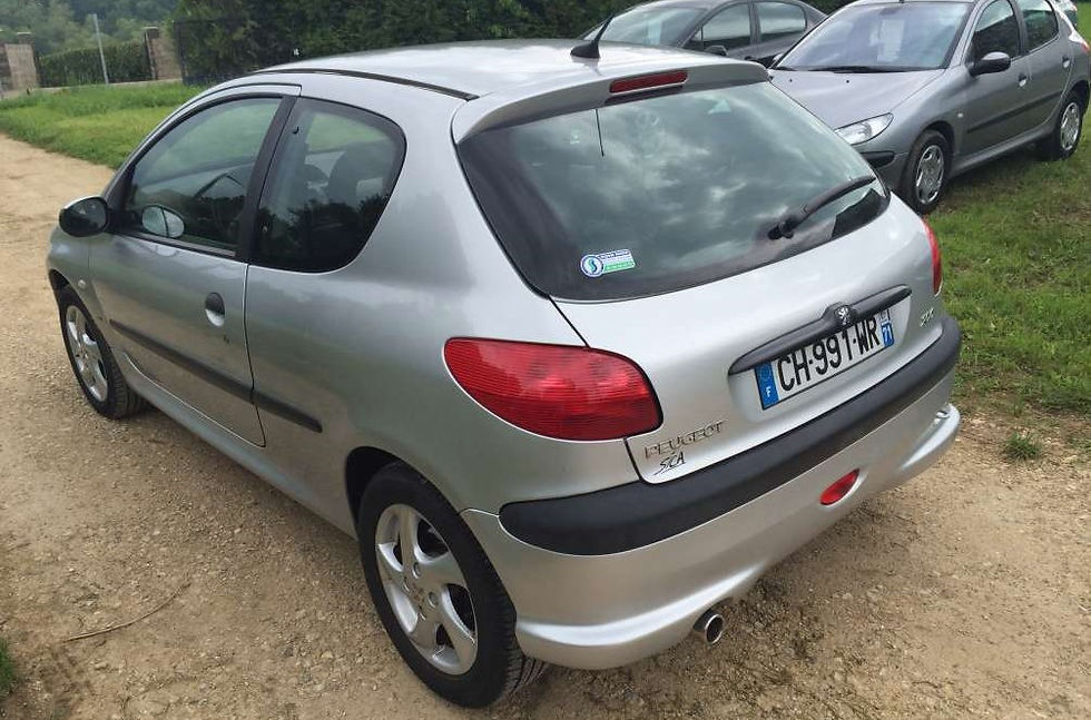 Miniature : Peugeot 206 1.6 XSI