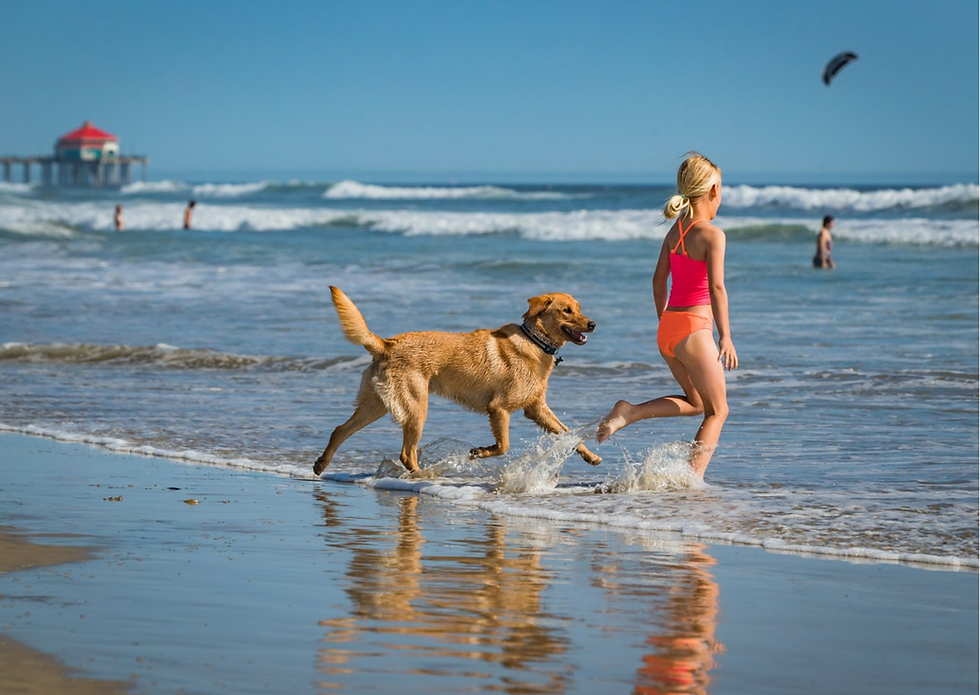 Huntington Beach USA