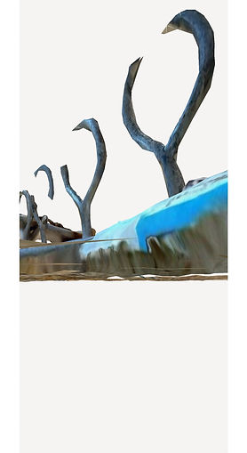 poly-snapshot 12.JPG