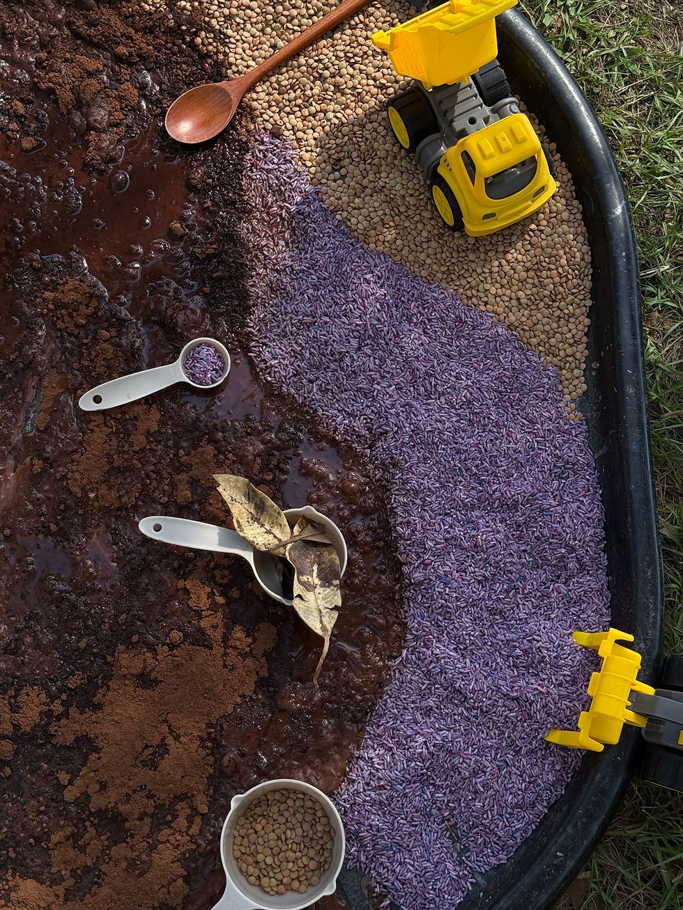 Sensory Wonderland (Messy Play)