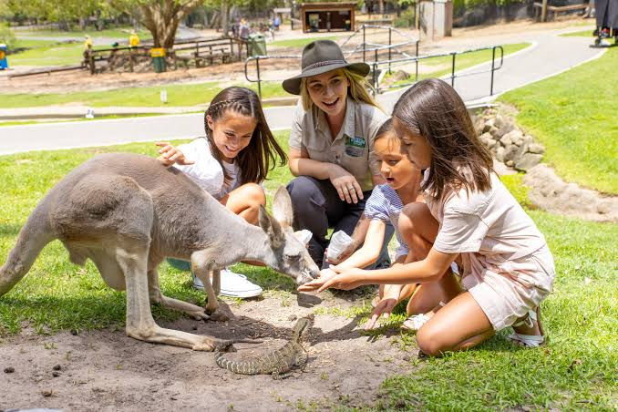 Currumbin Wildlife Sanctuary Excursion