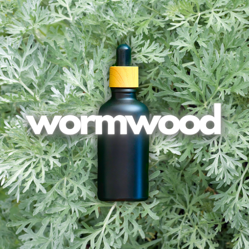 Thumbnail: Essential Oils