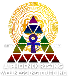 APRWI LOGO 2023 a