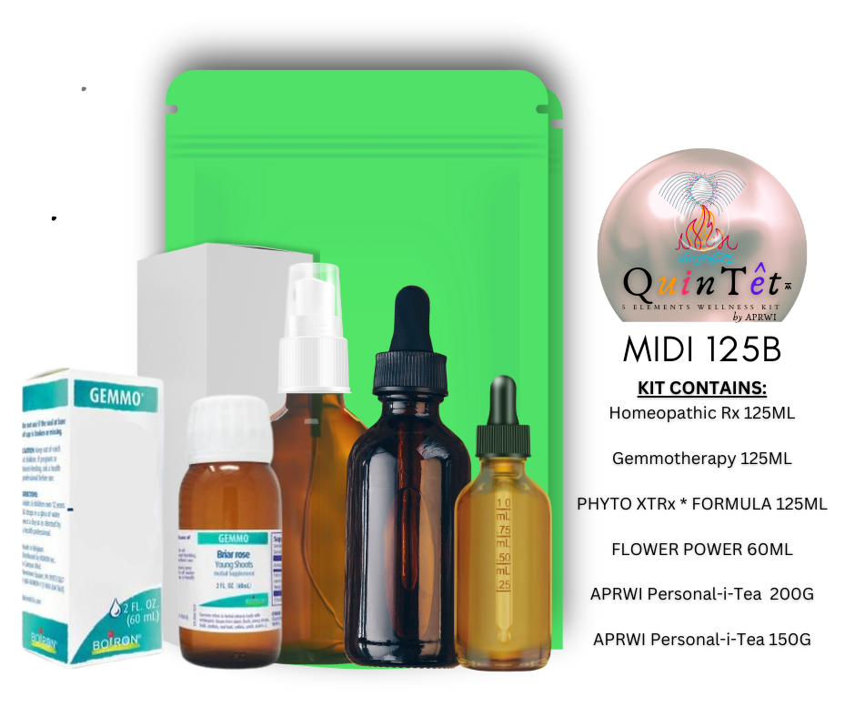 Thumbnail: QuinTêt Kit by APRWI™