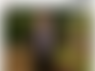 Daily Telegraph - Investor secret revealed: Banker’s slick method for buying five houses with...