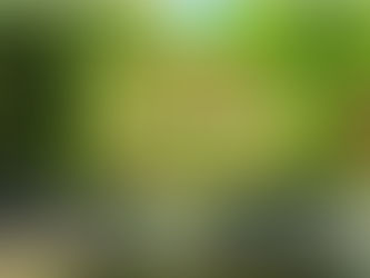 Invisible - Angel Lover