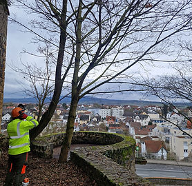 WhatsApp Image 2026-02-25 at 11.39.09 (7).jpeg