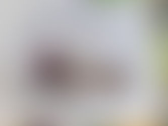 Programs provides fresh produce to pantry.