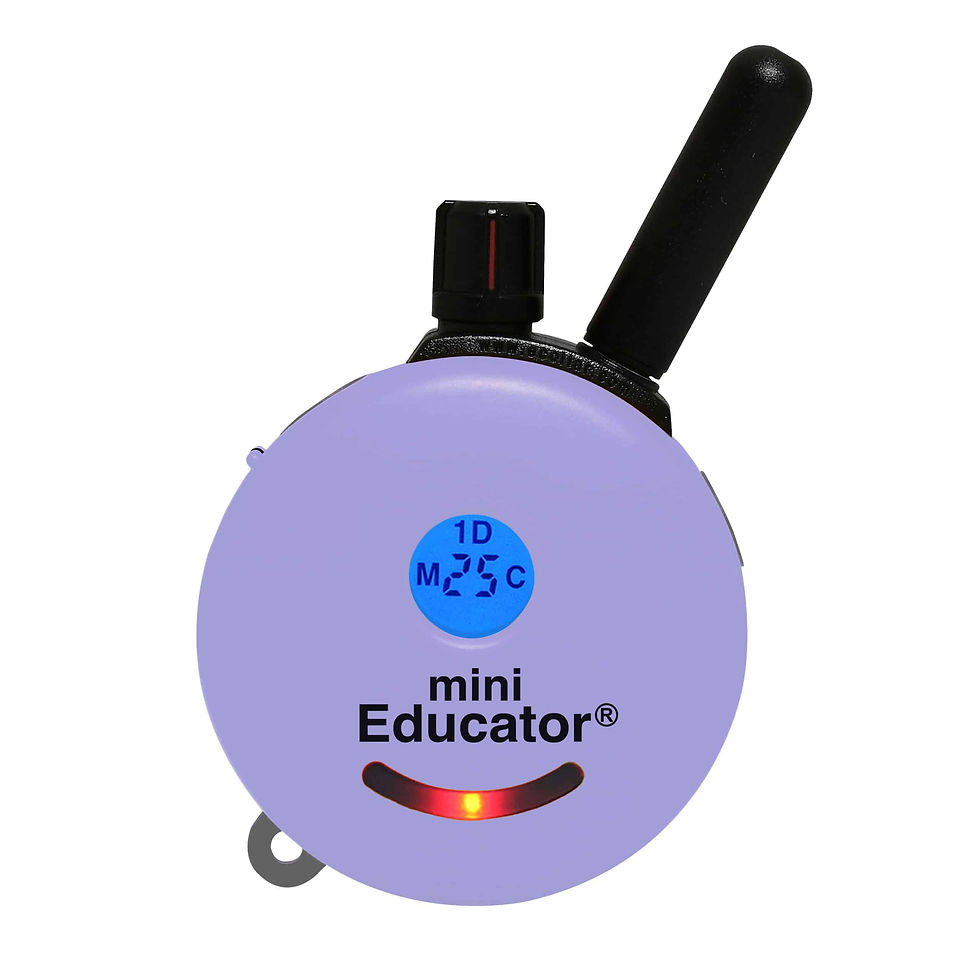 Thumbnail: Mini Educator
