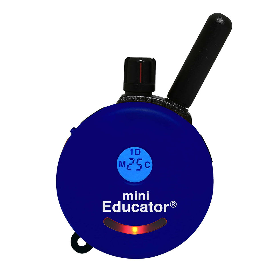 Thumbnail: Mini Educator