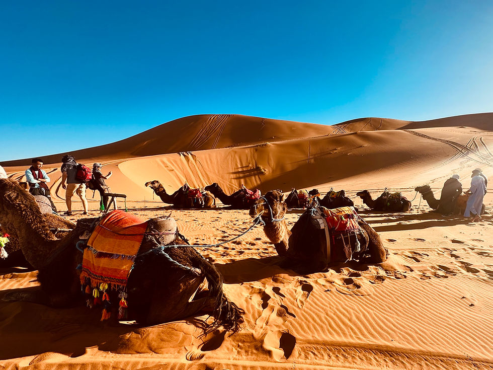 On our way to Erg Chebbi Desert Camp 