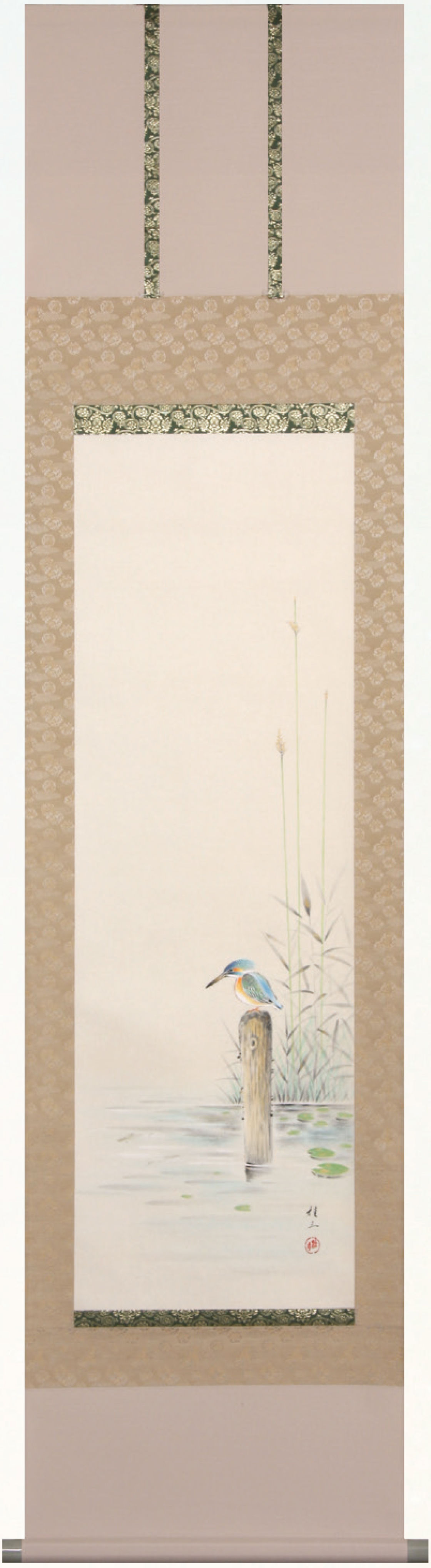 川蝉